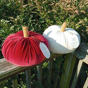 Big Fall Decor Pumpkins Cranberry and White /Cream Velvet Halloween